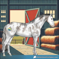 Horse Color:White Spotted Liver Red Dun Mushroom Sabino Splash Brindle 