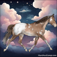Horse Color:White Spotted Brown Pearl Tobiano Snowcap Rabicano 