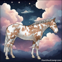 Horse Color:Silver Brown Pearl Tobiano Appaloosa Rabicano 
