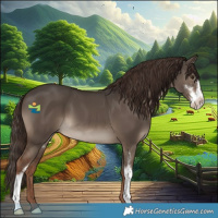 Horse Color:Liver Red Dun Sabino 