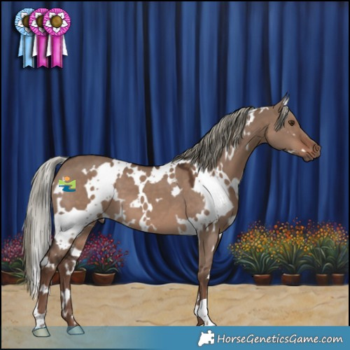 Horse Color:White Spotted Liver Red Dun Mushroom 