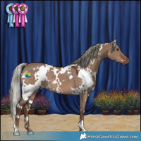 Horse Color:White Spotted Liver Red Dun Mushroom 