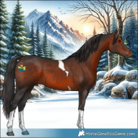 Horse Color:Brown Tobiano 