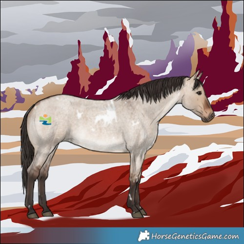 Horse Color:White Spotted Brown Roan Dun 