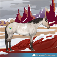 Horse Color:White Spotted Brown Roan Dun 