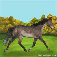 Horse Color:Bay Dun Tobiano Rabicano 