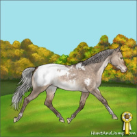 Horse Color:Silver Brown Dun Tobiano Near Fewspot Rabicano 