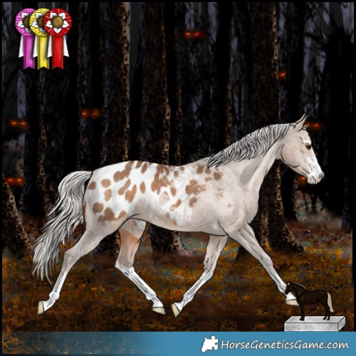 Horse Color:White Spotted Silver Brown Dun Appaloosa 