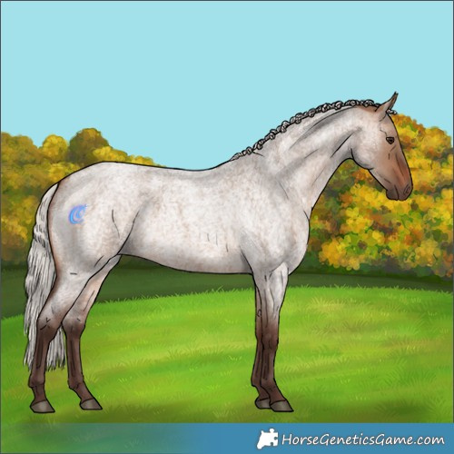 Horse Color:Silver Brown Roan Dun 