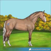 Horse Color:Silver Bay Dun
