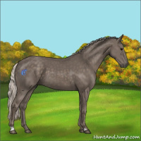 Horse Color:Silver Black 