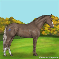 Horse Color:Silver Black 