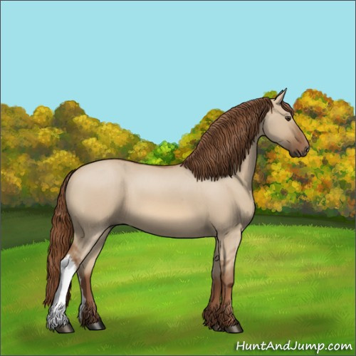 Horse Color:Unknown 