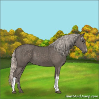 Horse Color:Silver Black 