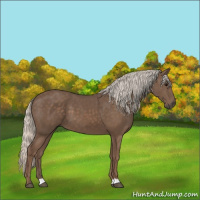 Horse Color:Silver Black