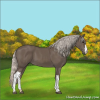 Horse Color:Silver Black 
