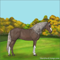 Horse Color:Silver Black 