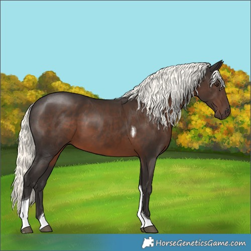 Horse Color:Liver Chestnut Mushroom Tobiano 
