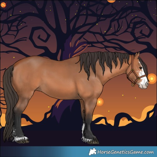 Horse Color:Bay Sabino 