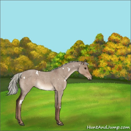 Horse Color:White Spotted Liver Red Dun Roan Mushroom 