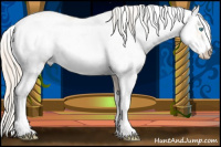 Horse Color:Perlino Sabino Rabicano 