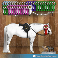 Horse Color:Liver Red Dun Appaloosa Brindle