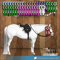 Horse Color:Liver Red Dun Appaloosa Brindle 