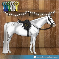 Horse Color:Grullo Varnish Brindle 
