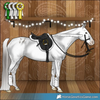 Horse Color:Grullo Appaloosa Brindle 