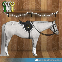 Horse Color:Grullo Appaloosa Brindle