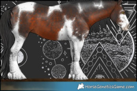 Horse Color:Bay Sabino Tobiano 