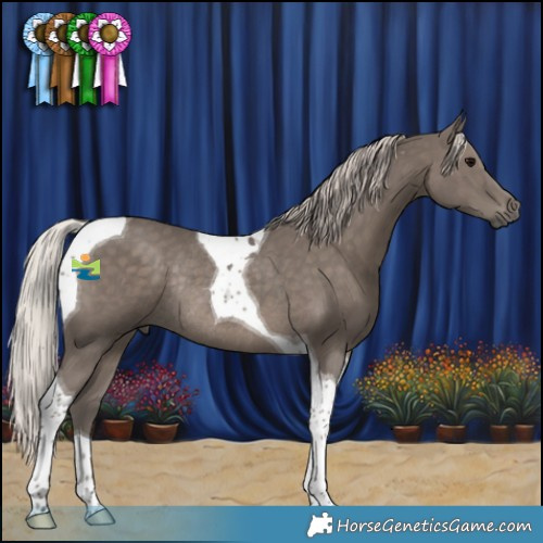 Horse Color:Silver Black Tobiano Rabicano 