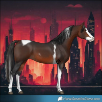 Horse Color:Bay Splash Tobiano