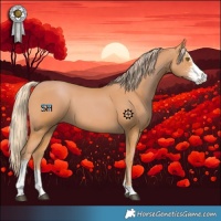 Horse Color:Chestnut Sabino