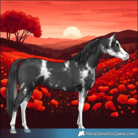 Horse Color:Black Sabino 