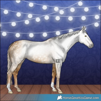 Horse Color:Gray Palomino Dun 