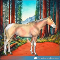 Horse Color:Palomino Roan Splash Tobiano 