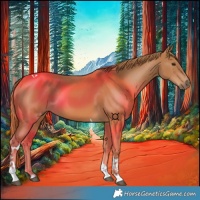 Horse Color:Chestnut Tobiano 