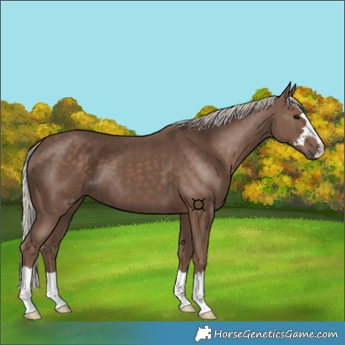 Horse Color:Silver Black 