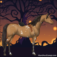 Horse Color:White Spotted Buckskin Dun Rabicano