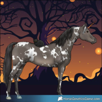 Horse Color:White Spotted Smoky Grullo