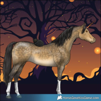 Horse Color:Buckskin Dun Tobiano 