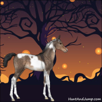Horse Color:Brown Dun Tobiano Frame