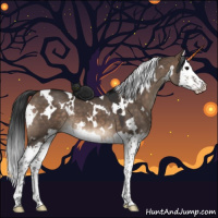 Horse Color:White Spotted Brown Dun Splash 