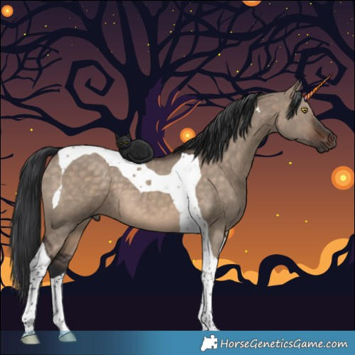 Horse Color:Brown Dun Tobiano 