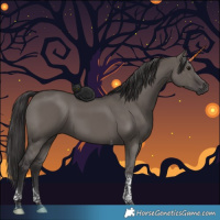 Horse Color:Smoky Grullo Tobiano