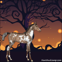 Horse Color:White Spotted Liver Red Dun 