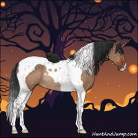 Horse Color:Brown Dun Tobiano Rabicano