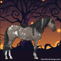 Horse Color:White Spotted Grullo Tobiano 