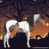 Horse Color:Brown Dun Tobiano 